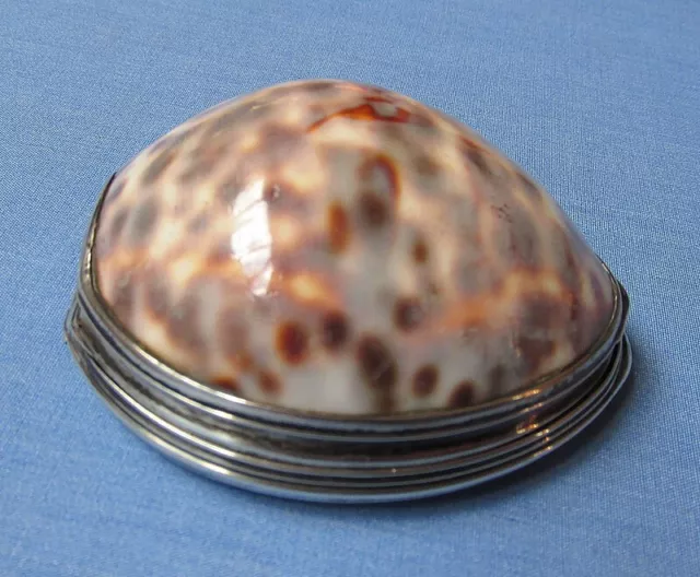 Georgian Cowrie Shell Snuff Box/Monogram/Unmarked Silver Mounts