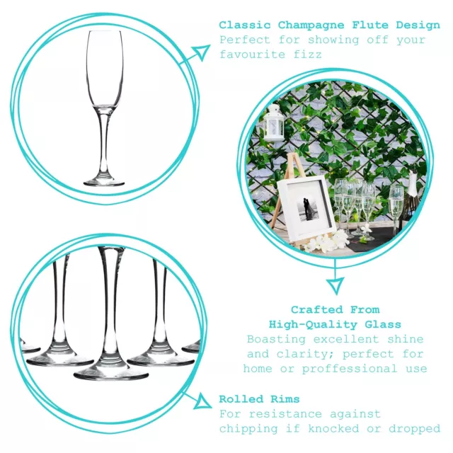 Champagne Flutes Glasses Cava Prosecco Glass 220ml (7.7oz) x24 2