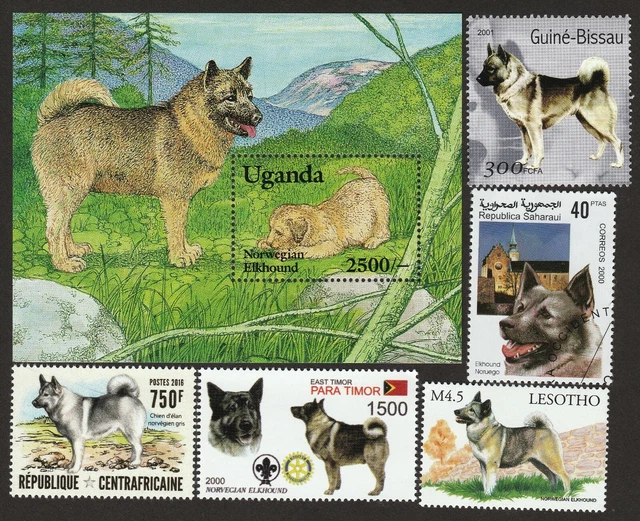 NORWEGIAN ELKHOUND ** Int'l Postage Stamp  Art Collection ** Great Gift Idea **
