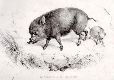 Adesivo In Vinile Da Caccia - Italia