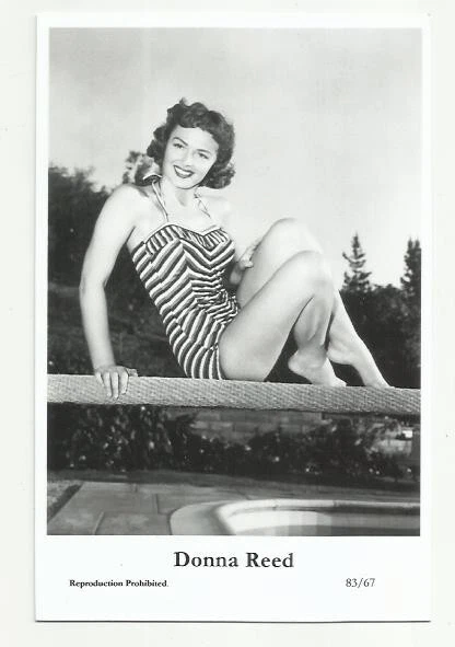 (Bx13) Donna Reed Swiftsure Photo Postcard (83/67) Filmstar Pin Up Glamor