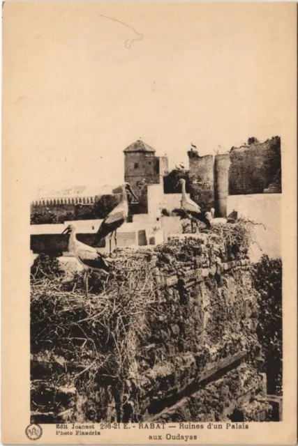 CPA AK MAROC RABAT Ruines d'un Palais aux Oudayas Flandrin (38209)