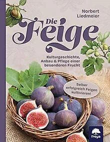 Die Feige: Kulturgeschichte, Anbau & Pflege einer b... | Buch | Zustand sehr gut