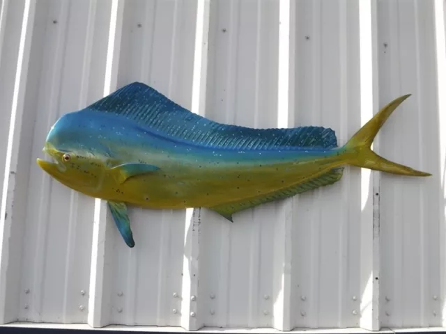 53" Bull Dolphin Left Half Mount (aka Mahi Mahi/Dorado)  - Quick Production