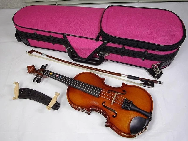 CARLO GIORDANO VIOLIN Set VS-1C 1/16 with Light Blue Case EUR 360