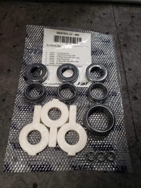 30610 Cat Pump Seals