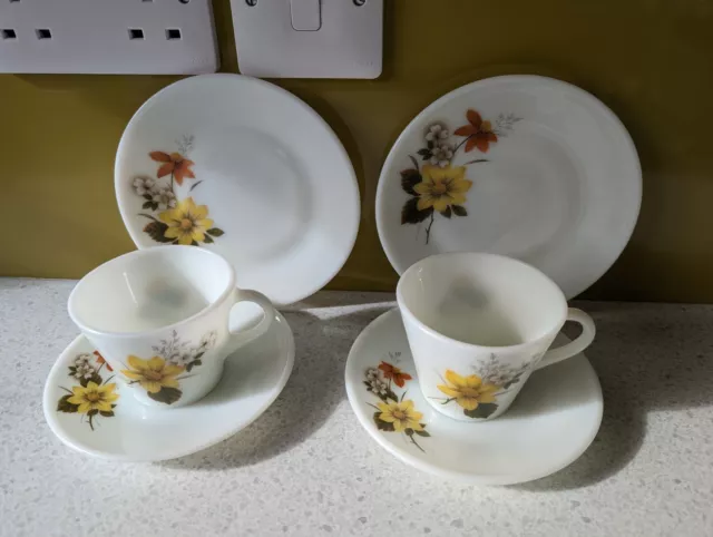 Pyrex JAJ Autumn Glory / Gold Small Cup Saucer & Side Plate Set X Two Vintage