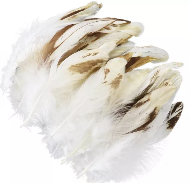 Bulk 50pcs 9-15cm Variegated Cream Beige Rooster Coque Feathers DIY Craft Juju