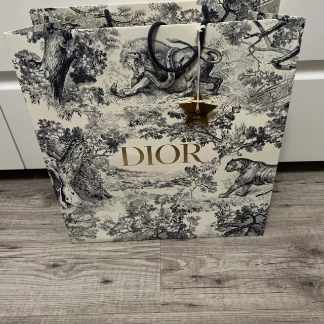 SAC SHOPPING AVEC toiles Dior Comme Neuf 40 42 17 Cm EUR 15 00
