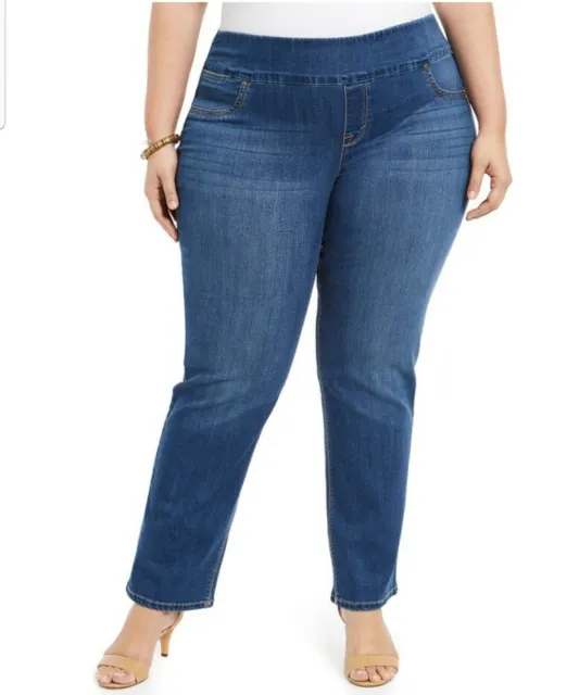 Style & Co Plus Size Ella Straight -Leg Jeans Size 24W Low Rise Pull On