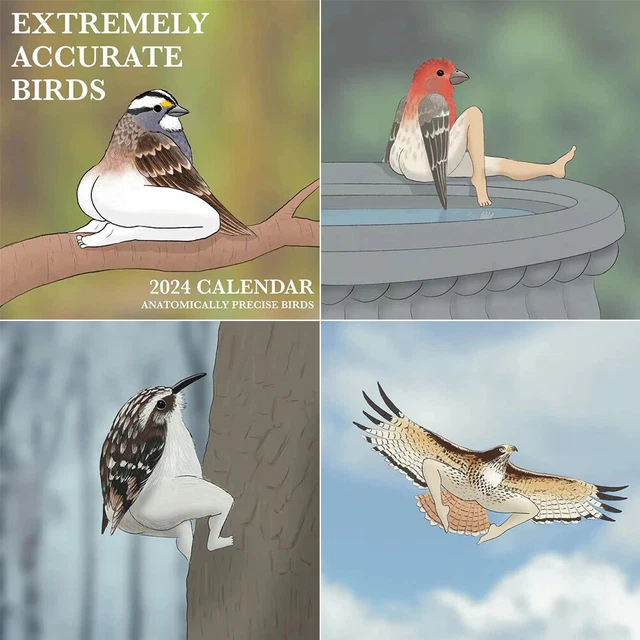 EXTREMELY ACCURATE BIRDS Calendar 2024 Wall Calendar 2024 Animal extremely-accurate-birds-calendar-2024-wall-calendar-2024-animal