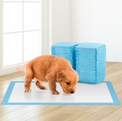 60x45CM pastiglie di addestramento del cane cucciolo Pavimento Tappetini TOILETTE WEE PIPI 'Pet Cat Pad Heavy Duty 