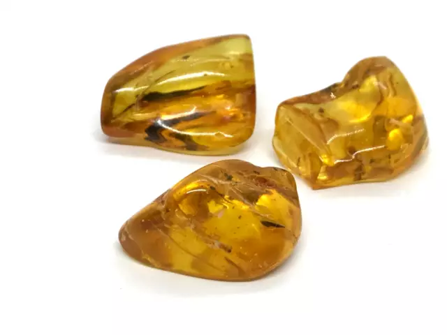 Lot 3 Pieces Baltic Amber Fossil Insect Inclusion Natural Amber Stones 12g 18590