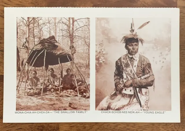 Postcard Young Eagle Winnebago Indians Sioux Nation H H Bennett Photographer