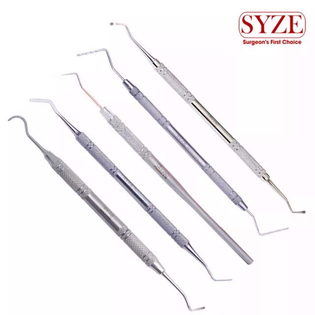 Dental Scalers And Probes Restorative Instruments Hygienist Examination Tools