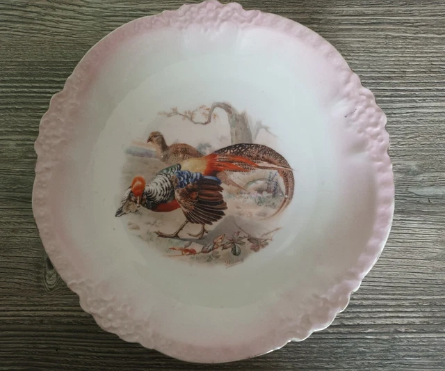 beautiful hand painted french porcelain wall hanging plate.
