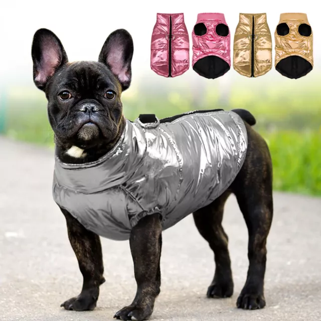 Petit Manteau Imperméable pour chien Veste d'hiver Rembourré Vêtements Chihuahua