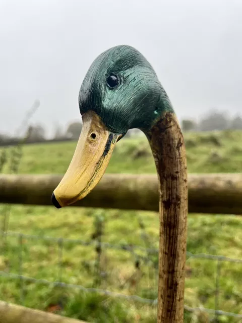 Mallard Duck Head,  Hand Carved Country Walking stick on Hazel Shank