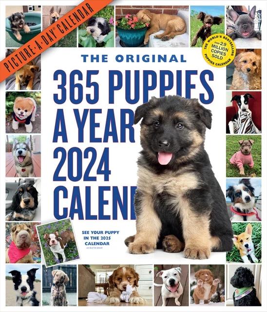 365 PUPPIESAYEAR PICTUREADAY Wall Calendar 2024 Absolutely