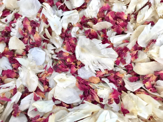 Natural Biodegradable Wedding Confetti Burgundy Ivory Dried Vintage Flower Petal