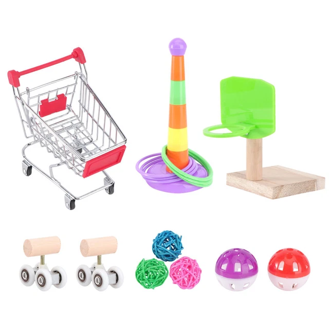 Papagei Spielzeug Für Sittiche Vogelspielzeug Bop Es Gehirn Vögel