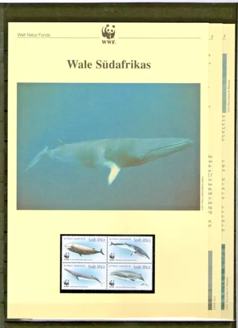 WWF 1998 Südafrika Wale Mi. Nr. 1177-80 **/MNH + Beschreibung