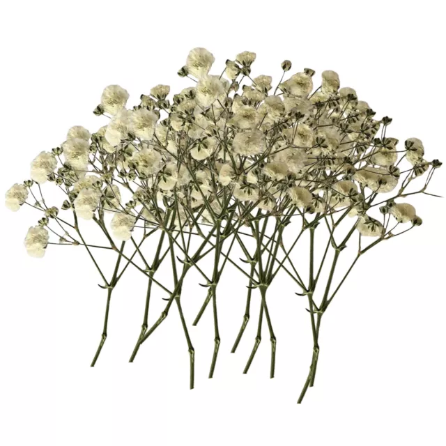 100pcs Artificial Baby's Breath Gypsophila Flowers Bouquet Wedding Party Decor