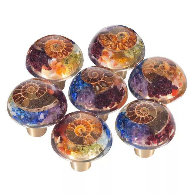 2x Ammonite Fossil Resin Crystal Drawer Knobs Pulls Chakra Stone Cabinet Dresser