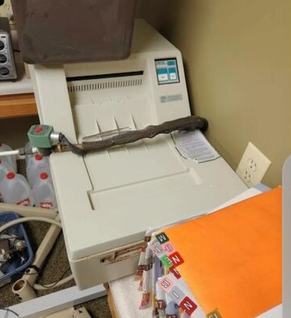 810 Basic Dent-X Dental Film Processor