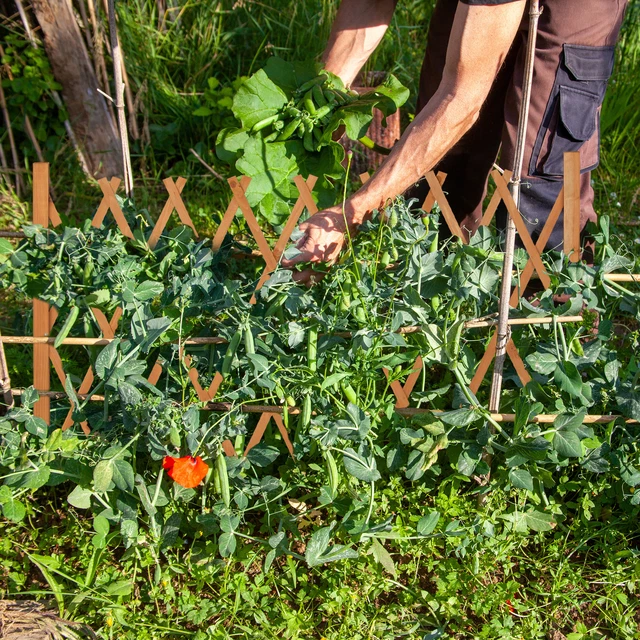 TUTEUR TOMATE TUTEUR Plante Grimpante Support Plante Tuteur Carreaux EUR 27,99 - FR