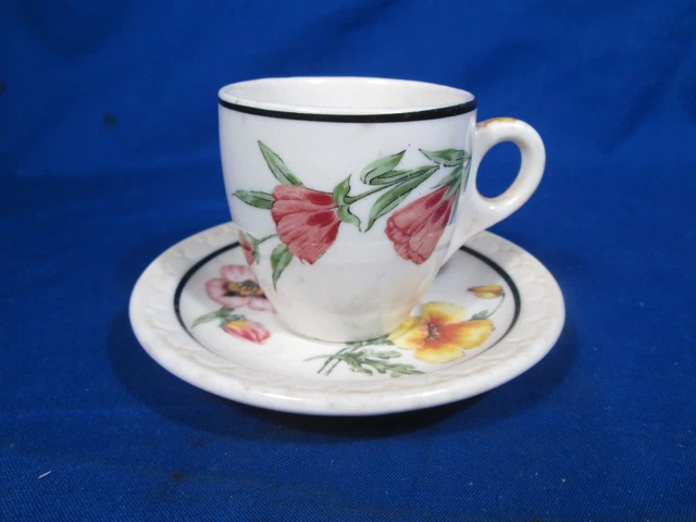 SP Southern Pacific - Prairie Mountain Wildflowers Demitasse Set