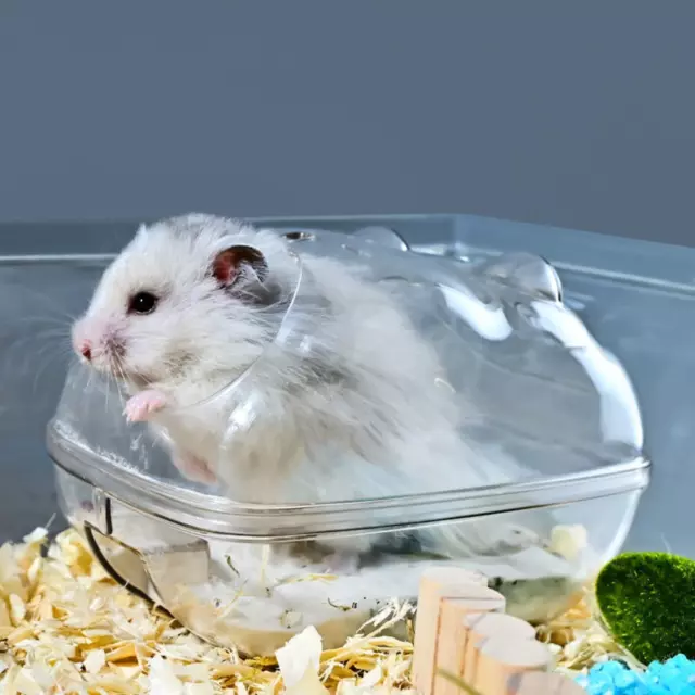 Caja ratón mascota inodoro juguete mascota jaula hámster baño