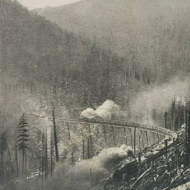Great Northern RR Railway Railroad Train Horseshoe Tunnel Washington Postcard 79