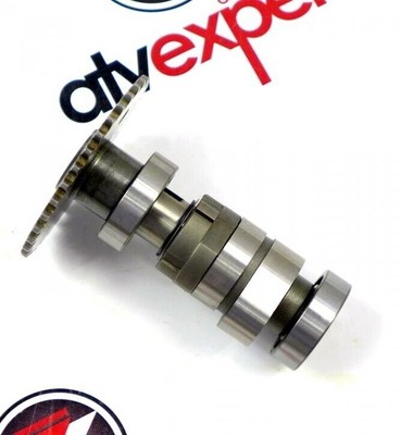 Triton Original CAM CHAN GUIDE COMP TRITON ACCESS BAJA OUTBACK  300 400 