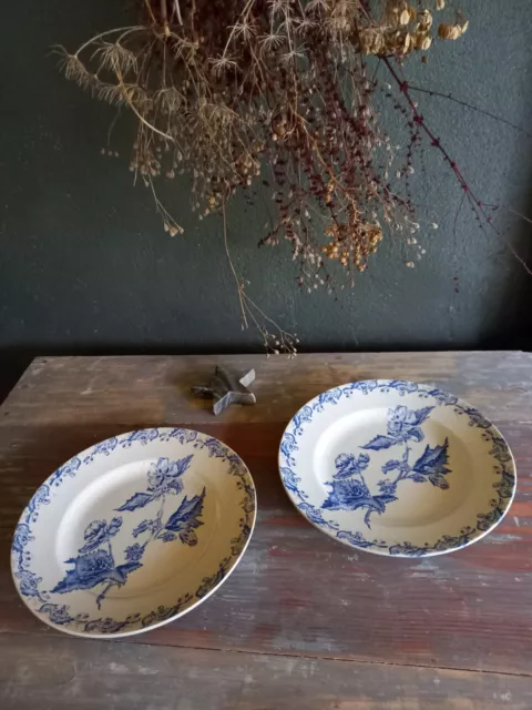 Anciennes assiettes plates A.LEBACQZ & M.BOUCHART Saint Amand, fleurs bleues.