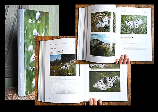 2017-schmetterlinge-butterflies-entomologie-glassl-parnassius-apollo