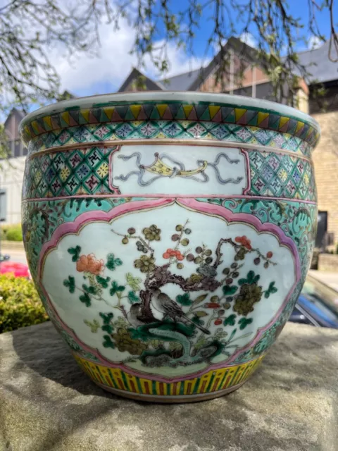 Chinese Antique Porcelain Fish Bowl Planter Famille Verte 19th Century Qing