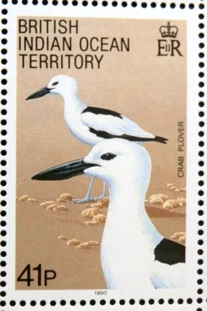 BRITISH INDIAN OCEAN TERRITORY 1990 SG95 41p. BIRDS - CRAB PLOVER - MNH