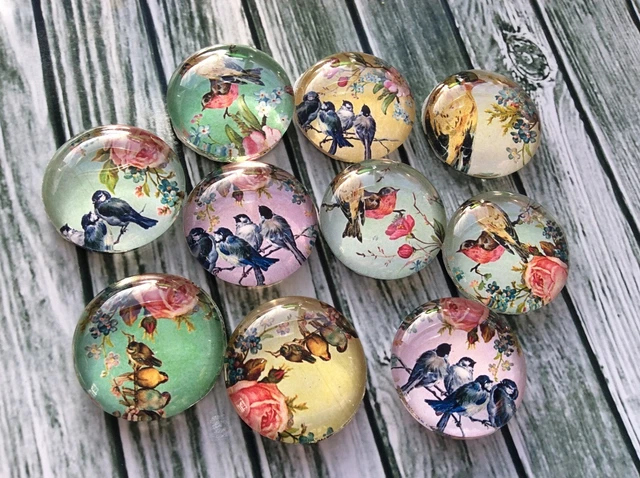 10 Pastel Floral Birds Cabochons 16-25mm Mixed Round Glass Cabochon Flat Back