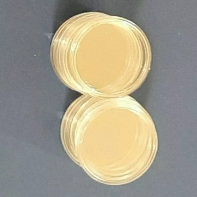 10 Capsule Oblo Contenitore X Monete ( 50 Franchi Francia) Diam. 42Mm Collezione