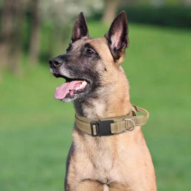 Tactical Dog Collar Heavy Duty Nylon Military Metal Buckle Adjustable Handle New 2