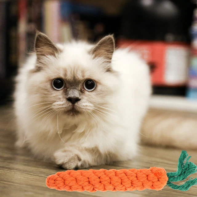 4pcs katze kau kauen spielsachen bissresistente katzenspielzeug-baumwollseile