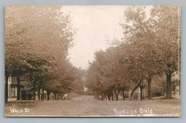 Wood Street FLUSHING Ohio RPPC Antique Dirt Road Photo~Belmont County 1916