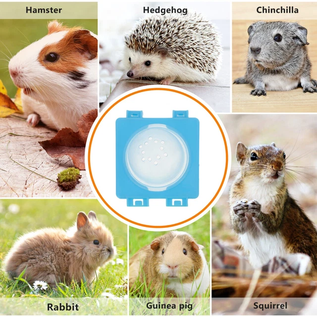 Set 8 Tubi Per Criceti Fai Da Te - Tunnel Trasparenti Per Gabbia, Gioco Ed Esercizio - Foto 7