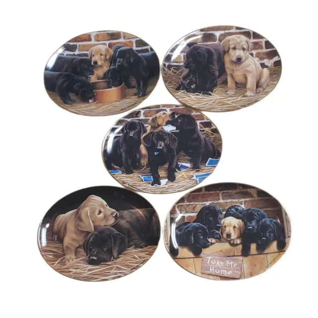 Franklin Mint Black Lab Golden Lab Puppy Collector Plates Nigel Hemming x 5