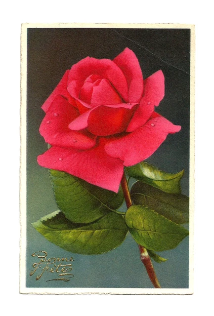 CPA Pretty 1951 Card Drawing Illustration or Photo Pink Flower Happy Holiday, Fold