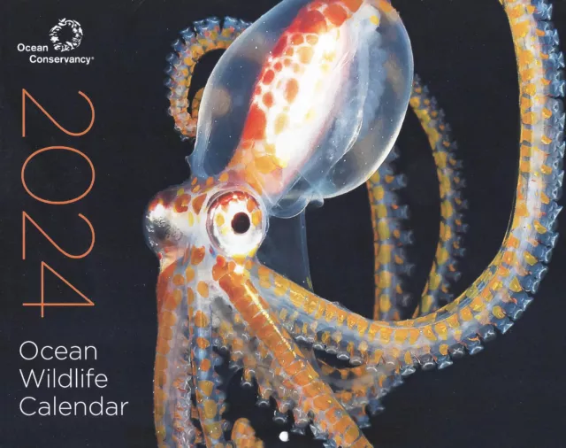 OCEAN WILDLIFE 2024 Calendar Ocean Conservancy Charity $12.58 - PicClick