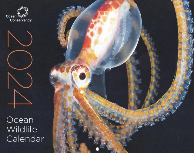 OCEAN WILDLIFE 2024 Calendar Ocean Conservancy Charity $12.58 - PicClick