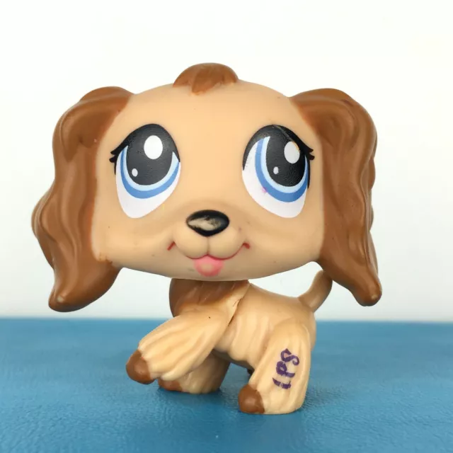 Authentic Littlest Petshop 1318 Dog Spaniel Cocker / Chien Epagneul LPS Pet Shop