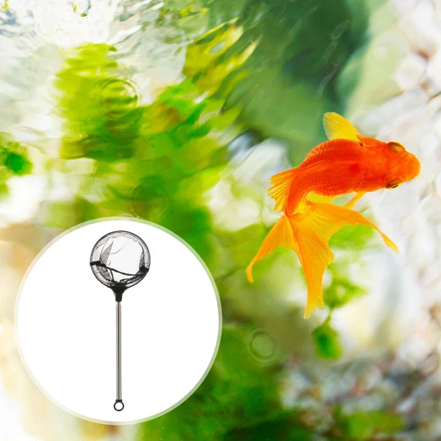 Filet Pour Aquarium 7,6 Cm Avec Longue Poignée - Écumoire à Poisson, Maille Fine Pour Nettoyage Et Capture En Douceur - 10